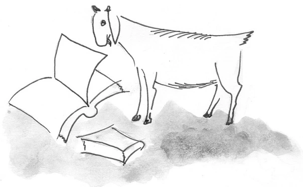 গোলাপী যখন ট্রেনে, হাতুড়ে তখন আমিরিকায়